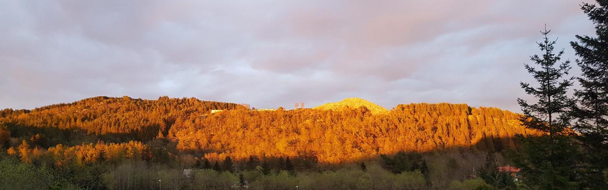 Fjordclaw Snm- Adjoining The Bergen City & Nature Zewnętrze zdjęcie